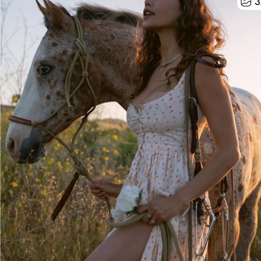 Christy Dawn Nicks Dress - Picture 5 of 8